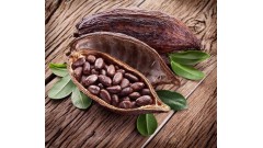 خواص با ارزش و مفید کاکائوی خام را بشناسید