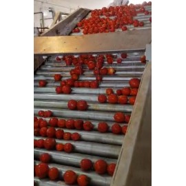 خط تولید رب گوجه K94
