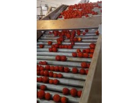 خط تولید رب گوجه K94